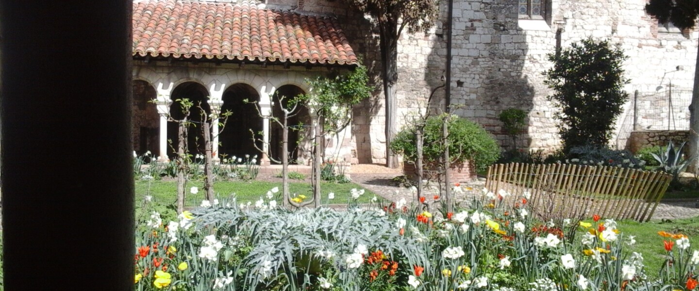 Lumières sur la collégiale Saint-Salvi