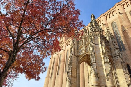 Une demi-journée à Albi