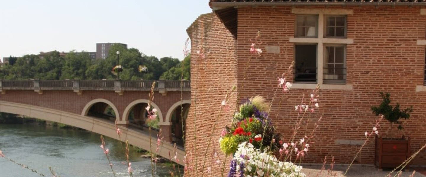 CDT81--1-Abbaye-Saint-Michel-Fleurs-Tarn_Gaillac---L.-Frezouls-20080710.165006-1200px