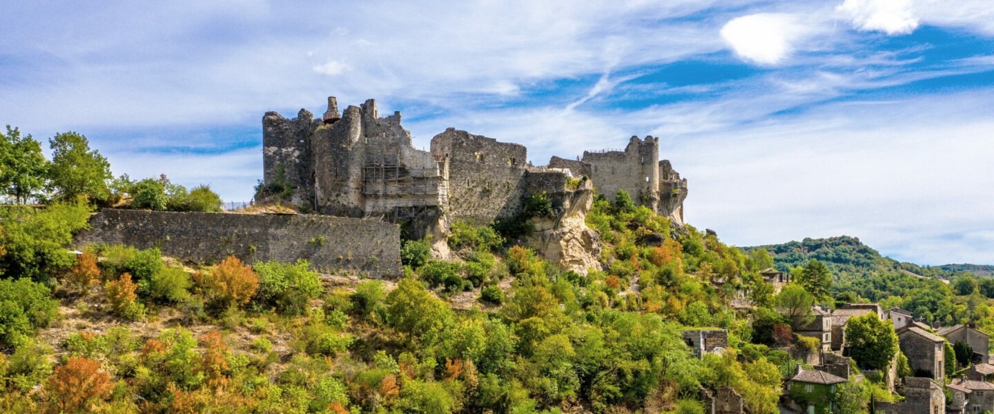 Notre coup de cœur du mois !