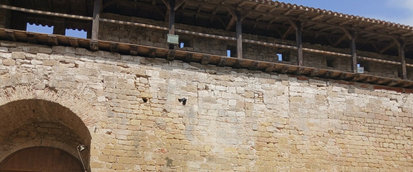 Chateau St Félix © Elvire Flo (18)