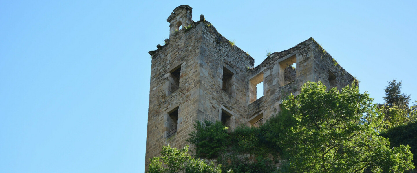 Château St Martin Laguépie