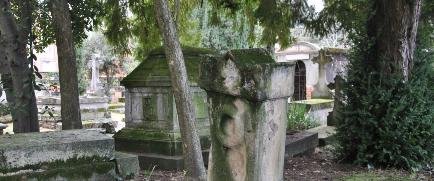 Cimetière d'Albi 3