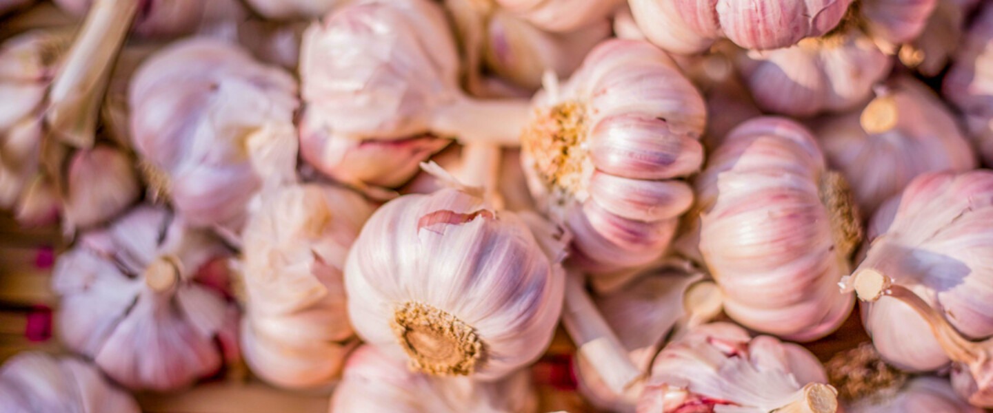 gastronomie-tarn-ail-rose