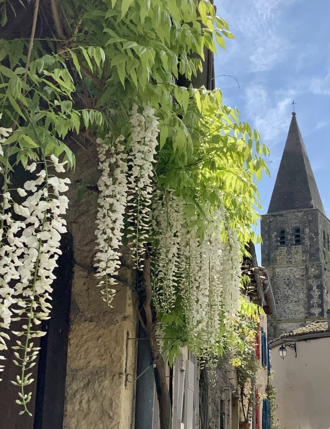 Puycelsi - Clocher de l'église