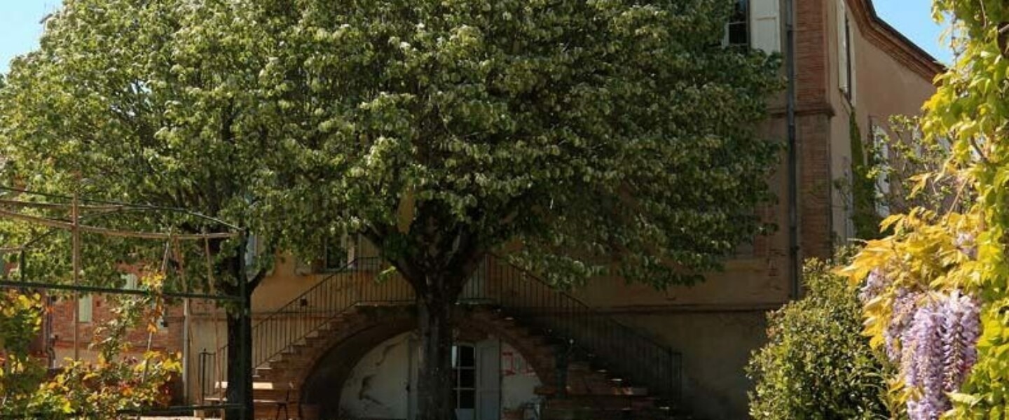 Museum Histoire Naturelle Gaillac