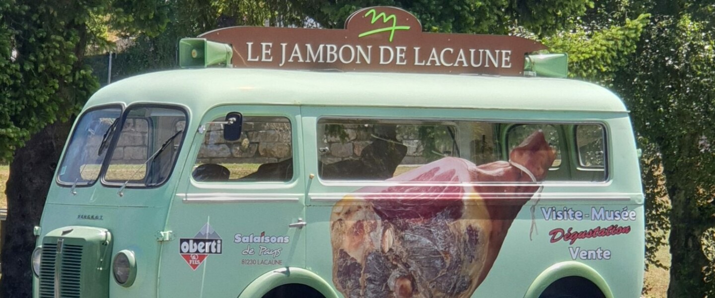 Notre coup de cœur du mois !