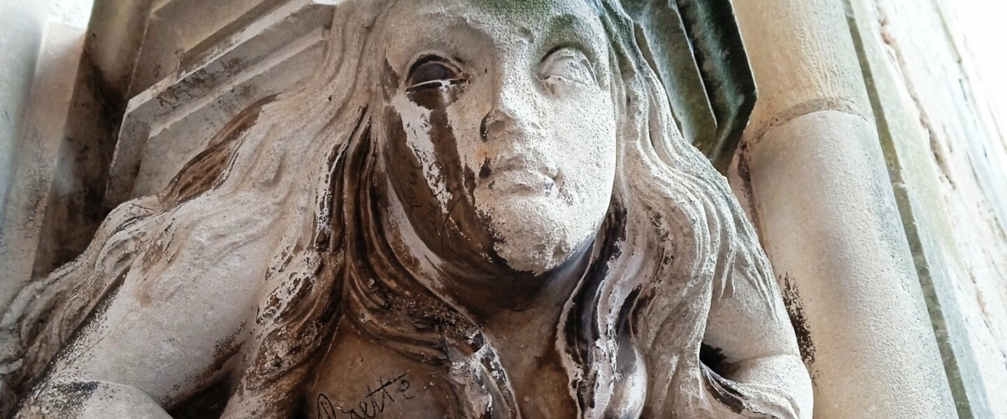 Sauvage pour monstrueuse 1