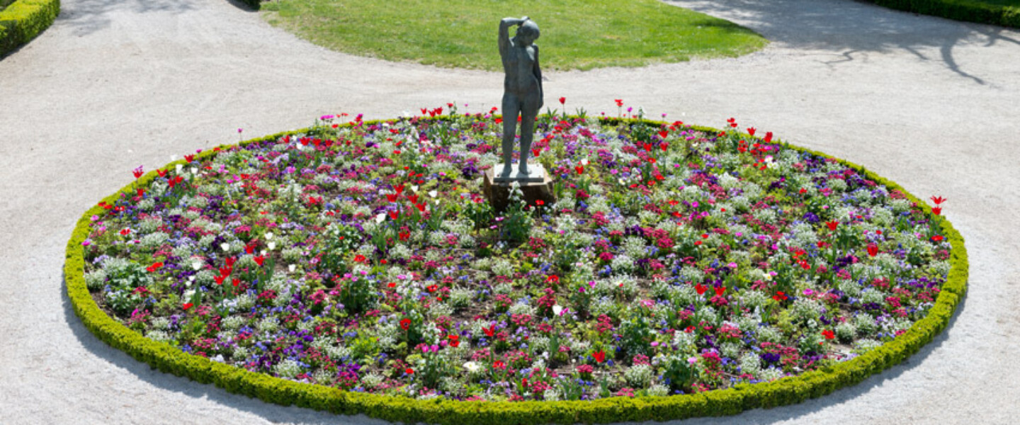 VG Albi jardins - Rochegude