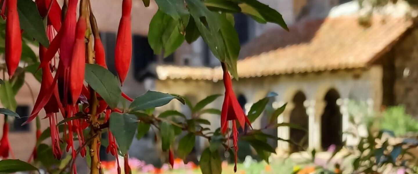 vg-albi-jardins-st-salvi-cp-marc-fanals-pour-lagit-2